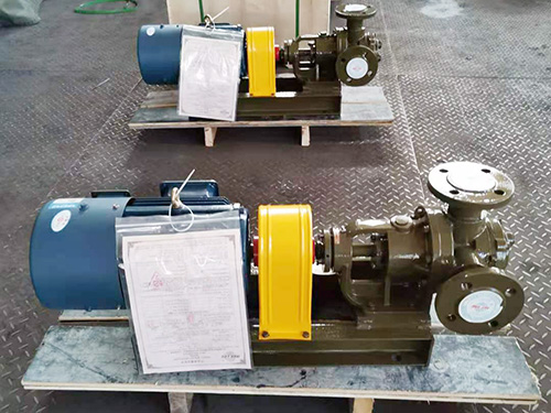 NYP變(bian)頻電機(ji)